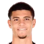 Miles Robinson
