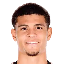 Miles Robinson