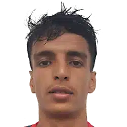 Mehdi Boukassi