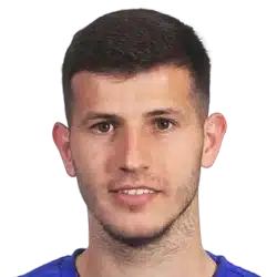 Branimir Cipetic